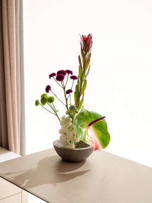 Crisante - Omotesandō Plants