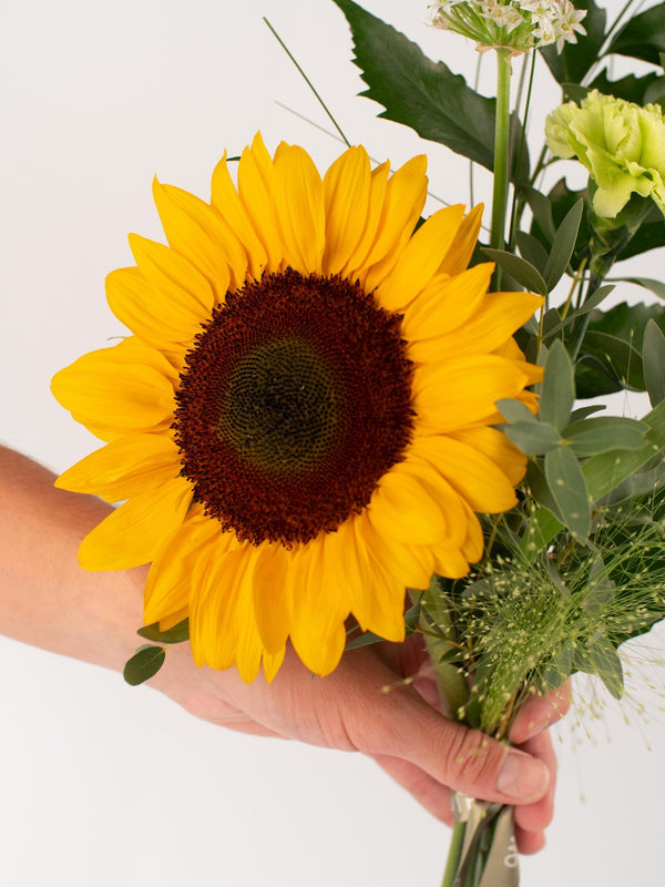 Detalle girasol - Omotesandō Plants