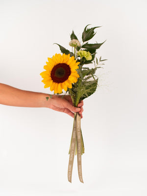Detalle girasol - Omotesandō Plants