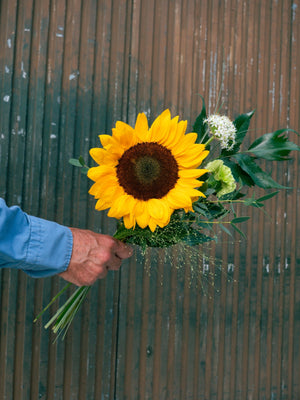 Detalle girasol - Omotesandō Plants