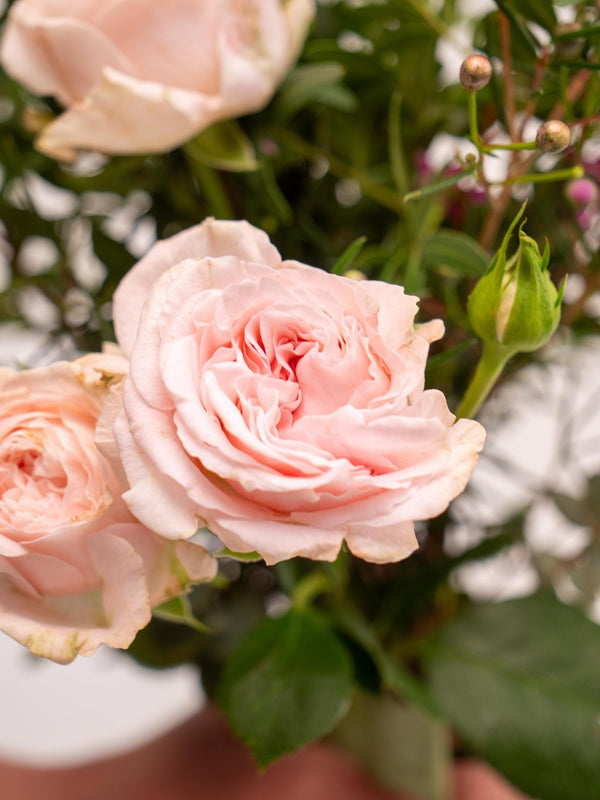 Detalle Volant - Omotesandō Plants