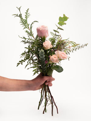 Detalle Volant - Omotesandō Plants