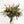 Eucalipto y magnolia - Omotesandō Plants