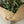 Eucalipto y magnolia - Omotesandō Plants