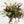 Eucalipto y magnolia - Omotesandō Plants
