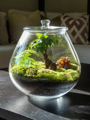 Flora - Omotesandō Plants