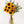 Girasoles - Omotesandō Plants