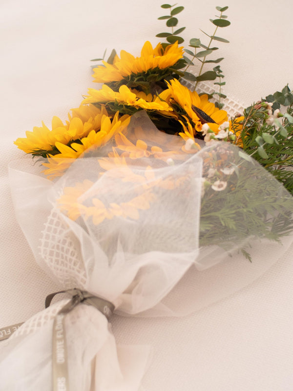 Girasoles - Omotesandō Plants