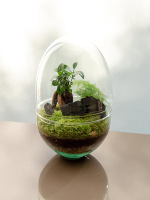 Le Brassus - Omotesandō Plants