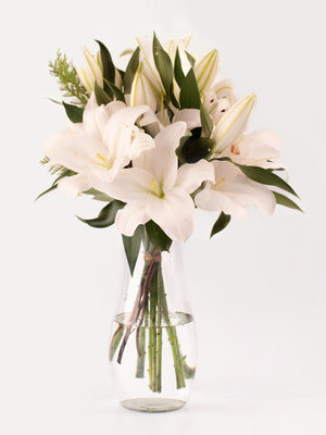 Liliums blancos - Omotesandō Plants