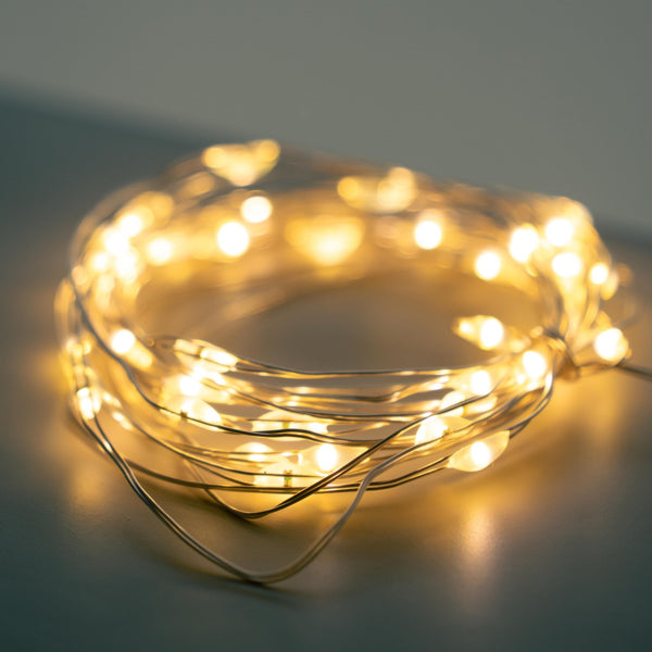 Luces de Navidad - Omotesandō Plants