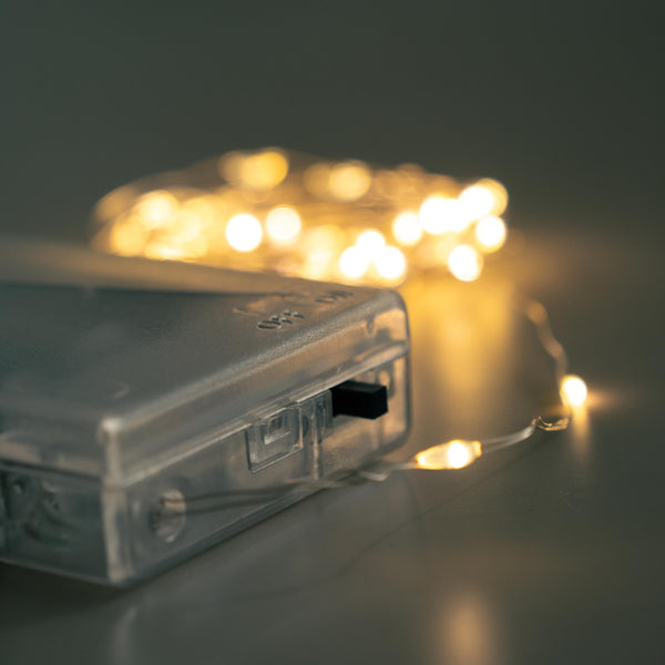 Luces de Navidad - Omotesandō Plants