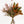 Magnolia y Erica - Omotesandō Plants