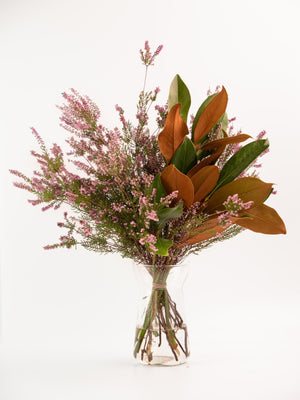Magnolia y Erica - Omotesandō Plants