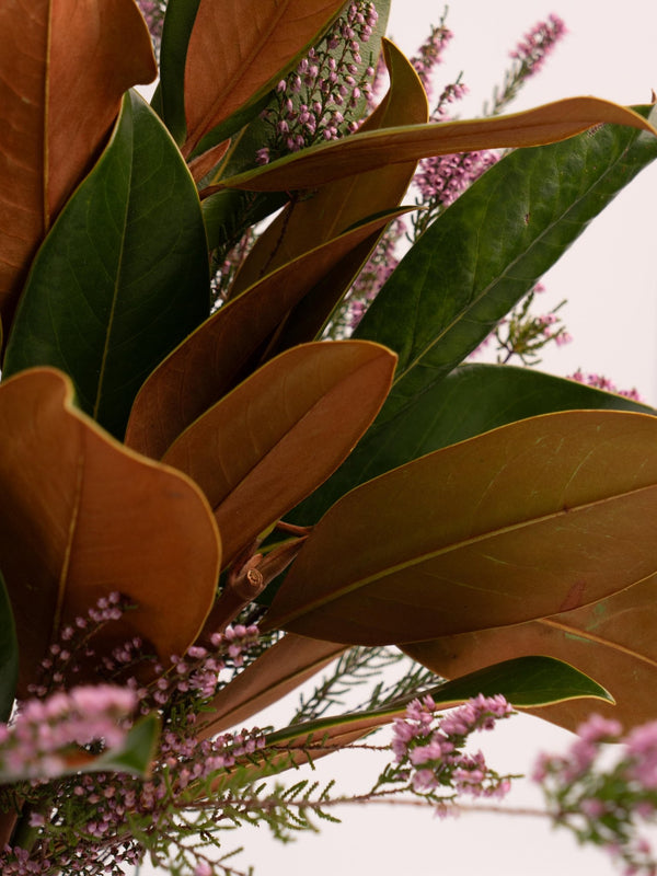 Magnolia y Erica - Omotesandō Plants