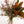 Magnolia y Erica - Omotesandō Plants