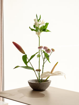 Meria - Omotesandō Plants