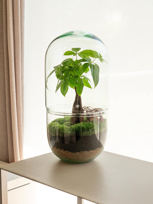 Midori Pach - Omotesandō Plants