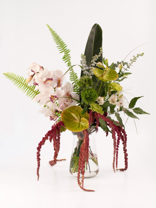 Naive - Omotesandō Plants