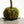 Olivo kokedama - Omotesandō Plants
