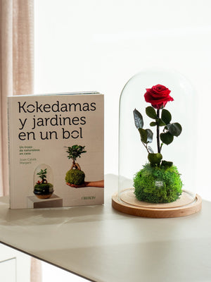 Pack Garden Rose y libro - Omotesandō Plants