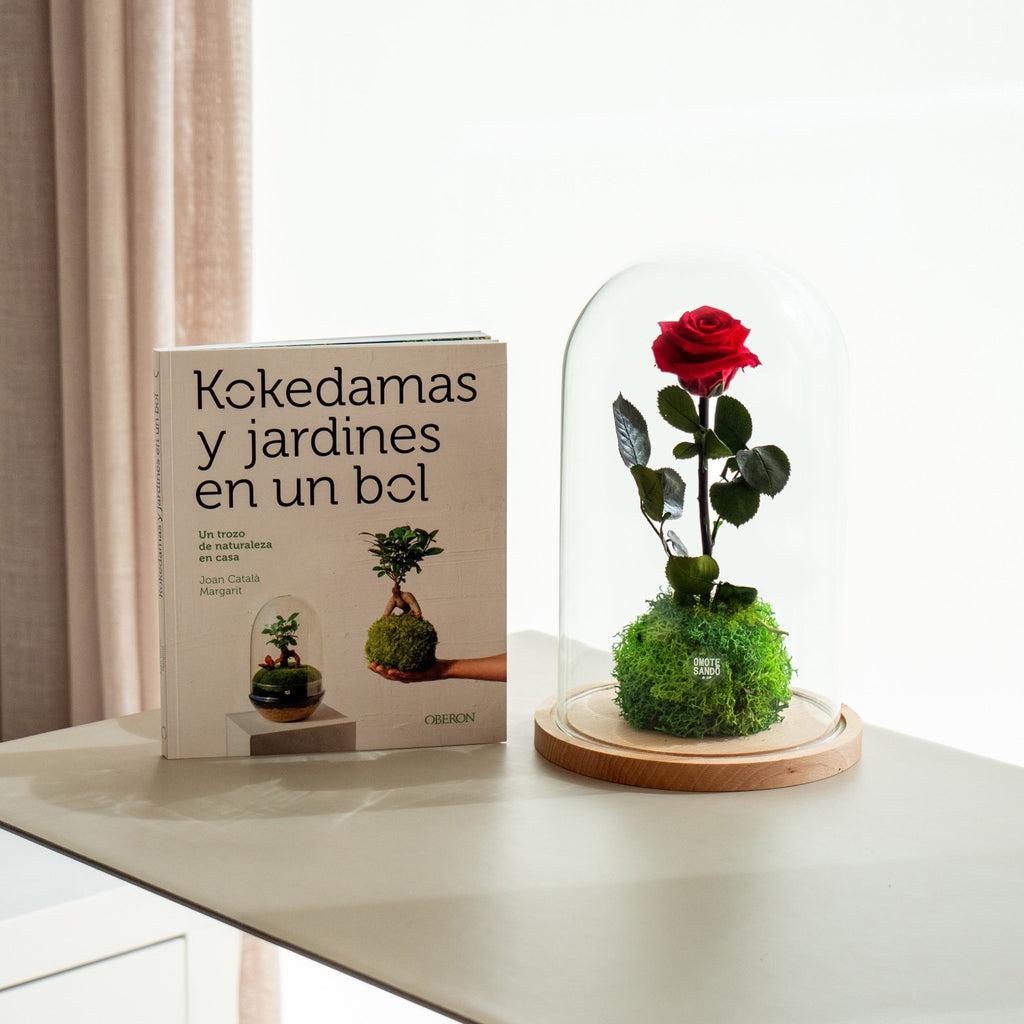 Pack Garden Rose y libro - Omotesandō Plants