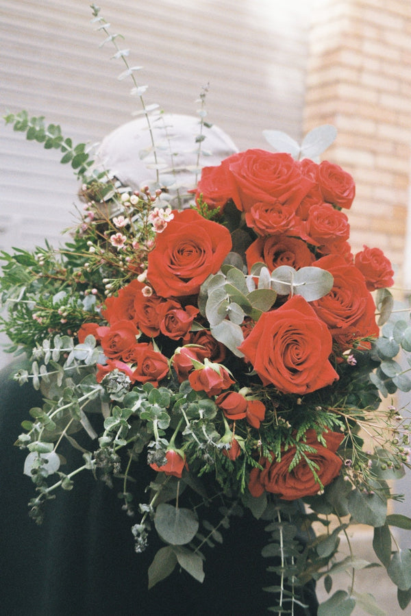 Paradise - Omotesandō Plants