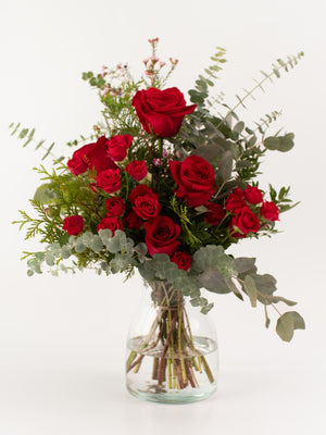 Paradise - Omotesandō Plants