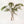 Pino - Omotesandō Plants