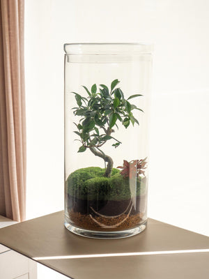 Retusa Jungle - Omotesandō Plants