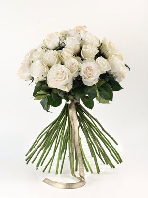 Rosas Blancas - Elige la cantidad que desees - Omotesandō Plants