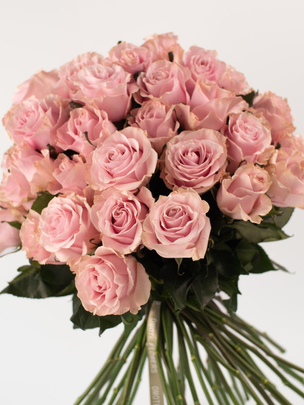 Rosas Rosas - Elige la cantidad que desees - Omotesandō Plants