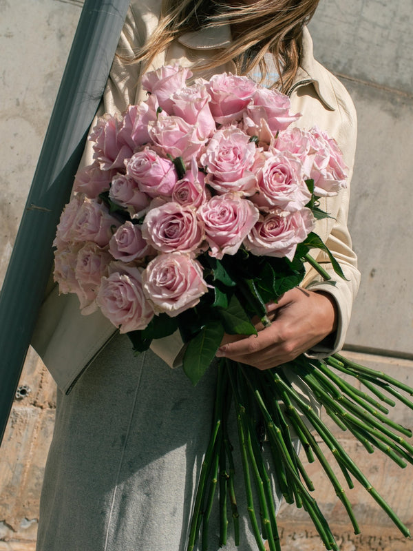 Rosas Rosas - Elige la cantidad que desees - Omotesandō Plants