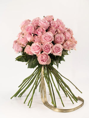 Rosas Rosas - Elige la cantidad que desees - Omotesandō Plants