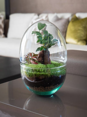 Terra Jungle - Omotesandō Plants