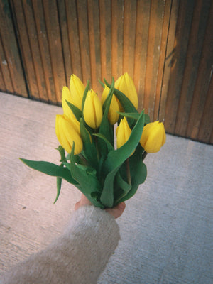 Tulipas amarillas - Omotesandō Plants