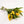 Tulipas amarillas - Omotesandō Plants