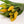 Tulipas amarillas - Omotesandō Plants