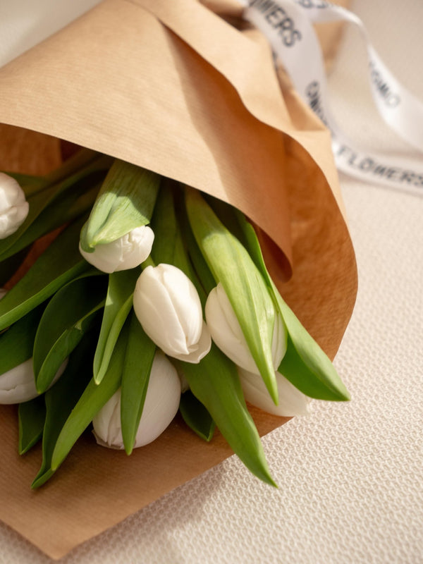 Tulipas blancas - Omotesandō Plants