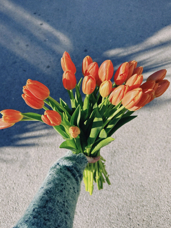 Tulipas naranjas - Omotesandō Plants