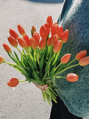 Tulipas naranjas - Omotesandō Plants