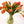 Tulipas naranjas - Omotesandō Plants