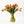 Tulipas naranjas - Omotesandō Plants