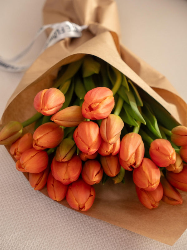 Tulipas naranjas - Omotesandō Plants