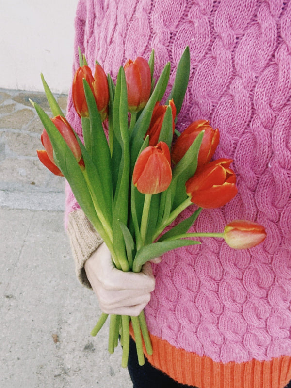 Tulipas rojas - Omotesandō Plants