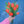 Tulipas rojas - Omotesandō Plants