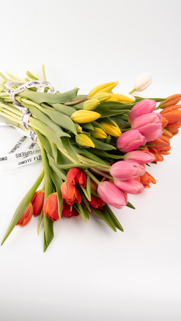 Tulipas rojas - Omotesandō Plants