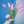 Tulipas rosas - Omotesandō Plants