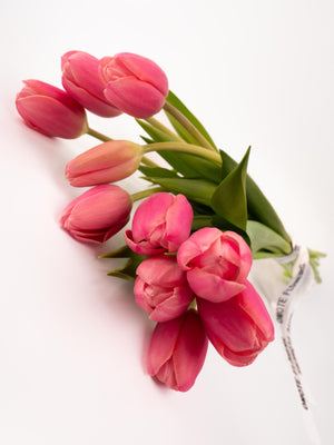 Tulipas rosas - Omotesandō Plants