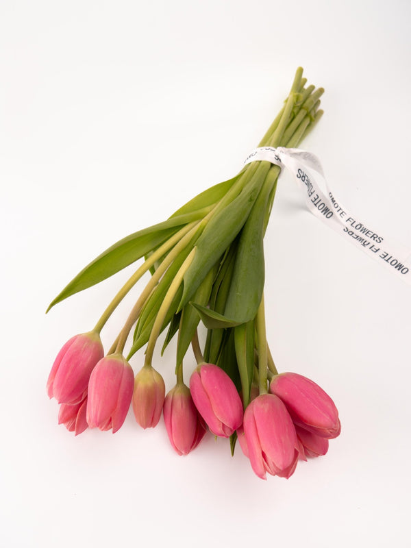 Tulipas rosas - Omotesandō Plants